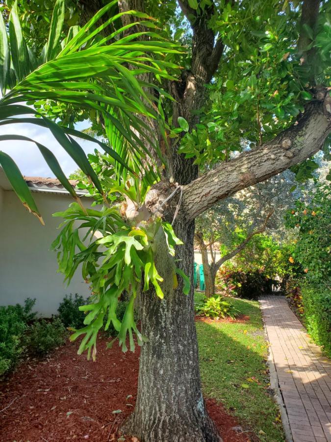 Ocean Side Resort - Updated Villa ฮิลส์โบโรบีช ภายนอก รูปภาพ